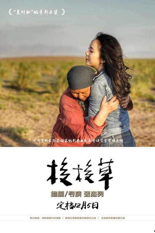 草电影在线观看,揭秘网络观影新潮流